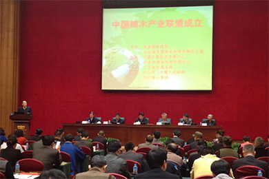 中国辣木产业联盟在广东中山成立