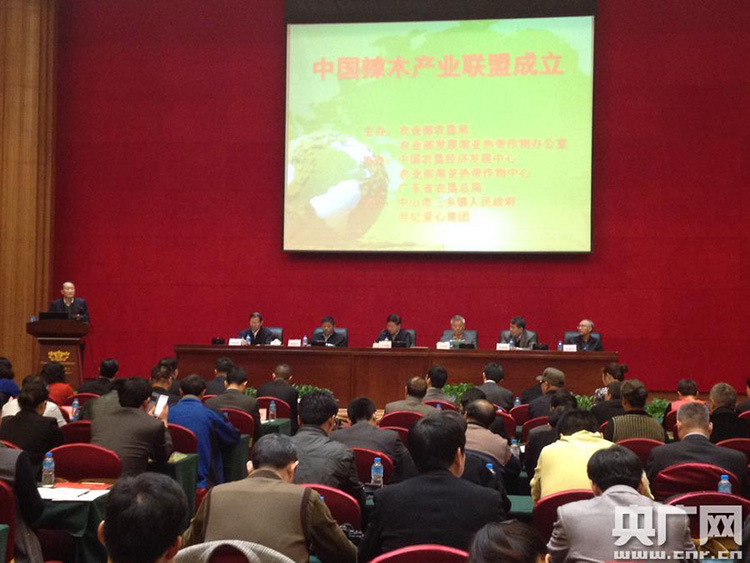 中国辣木产业联盟在广东省中山市三乡镇成立