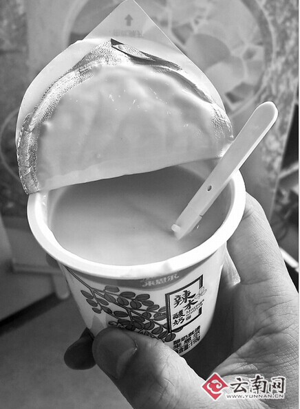 试吃辣木酸奶