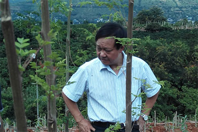 吴松市长到高黎贡山旅游度假区调研辣木产业