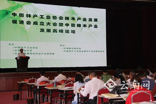 中国辣木产业发展高峰论坛