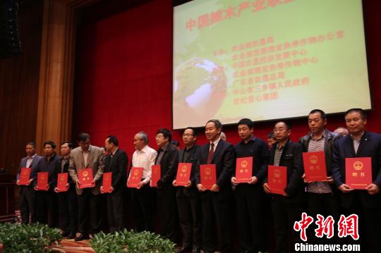 中国辣木产业联盟在侨乡中山三乡镇成立