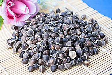 辣木籽的功效作用和食用方法