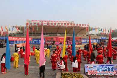 第24届农高会陕西澄城藏红花受青睐
