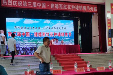 第三届中国建德西红花种球销售节在三都镇新和村举行