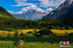 西藏是世界环境质量最好的地区之一