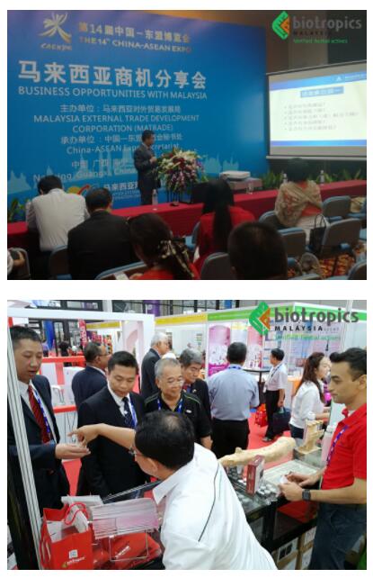 第14届中国东盟博览会上的马来西亚东革阿里