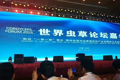 2019年世界虫草大会在北京举办