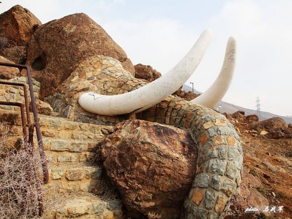 伊朗的大象雕塑