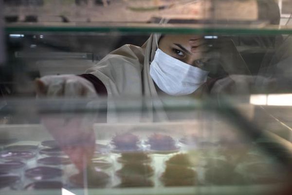 一名女子在藏红花加工厂里工作