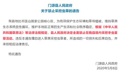 青海省门源县人民政府关于禁止采挖虫草的通告