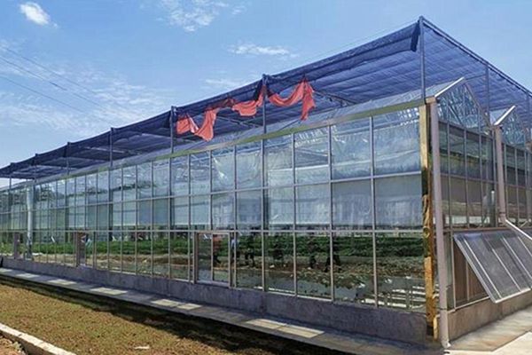 恩施州利川市诸天村为西红花建设的玻璃温室