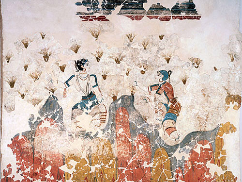希腊圣托里尼岛青铜时代阿克罗蒂里的赛斯特三号中采摘藏红花的壁画