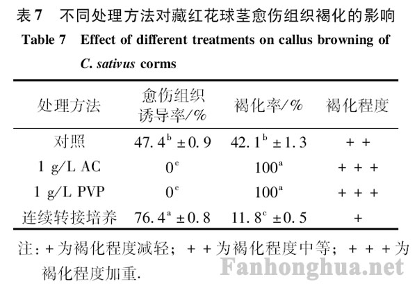 表7 不同处理方法对藏红花球茎愈伤组织褐化的影响