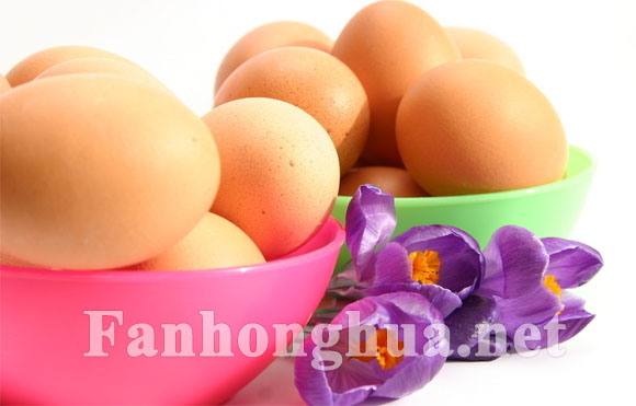紫色番红花和鸡蛋