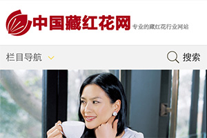 中国藏红花网新版手机站上线